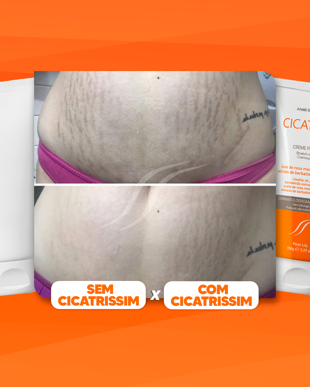 Evolução Real 2 Meses